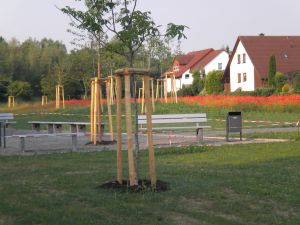 KLEI_KASSEL_Dorothea_Viehman_Park_006