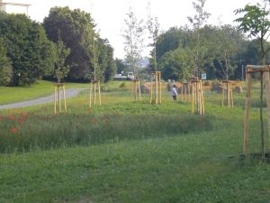 KLEI_KASSEL_Dorothea_Viehman_Park_007